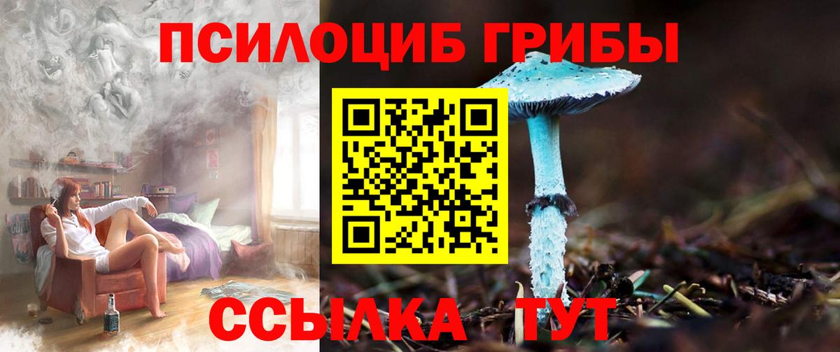Галлюциногенные грибы Psilocybe Артёмовский